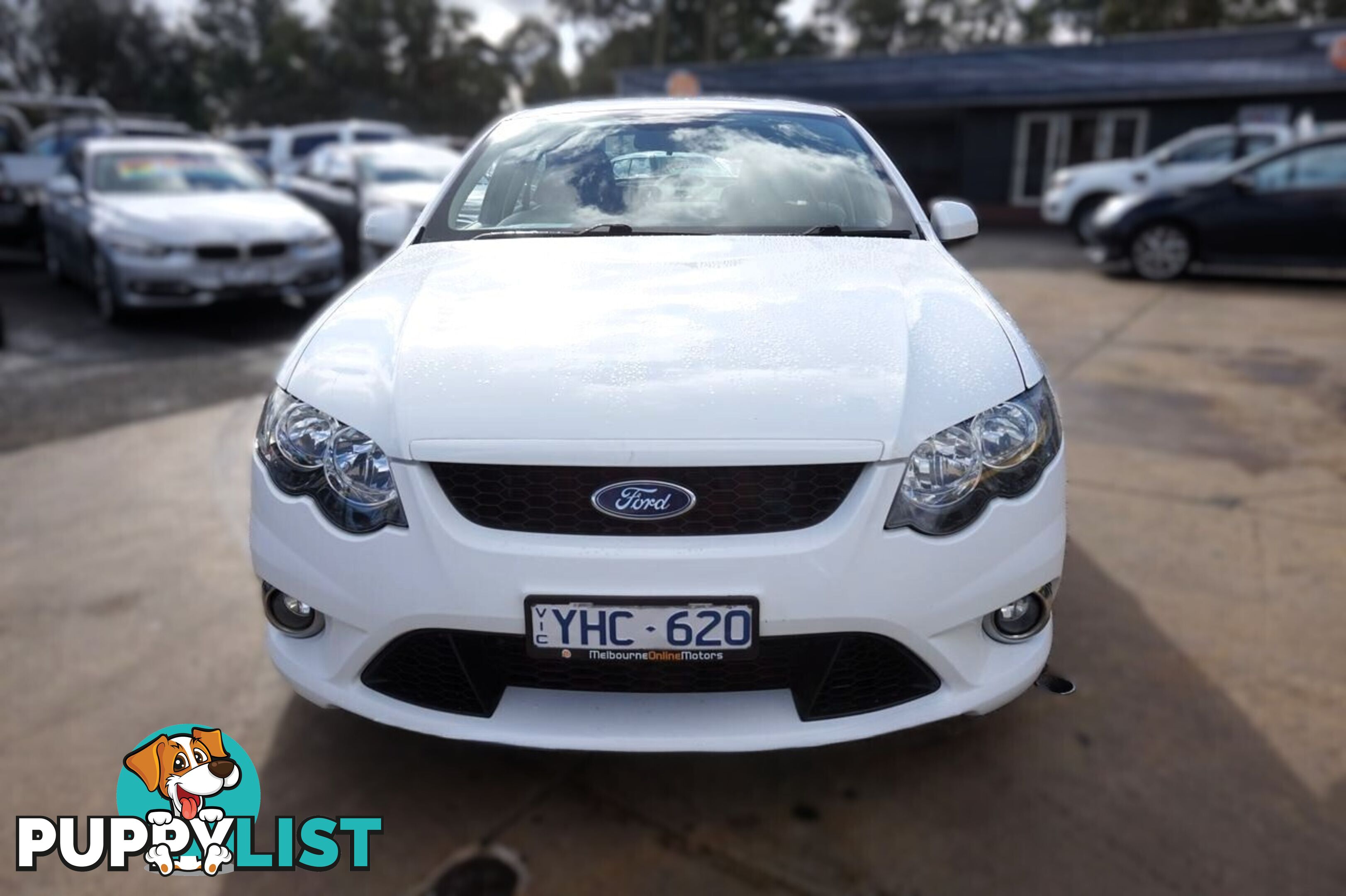 2011 FORD FALCON   SEDAN