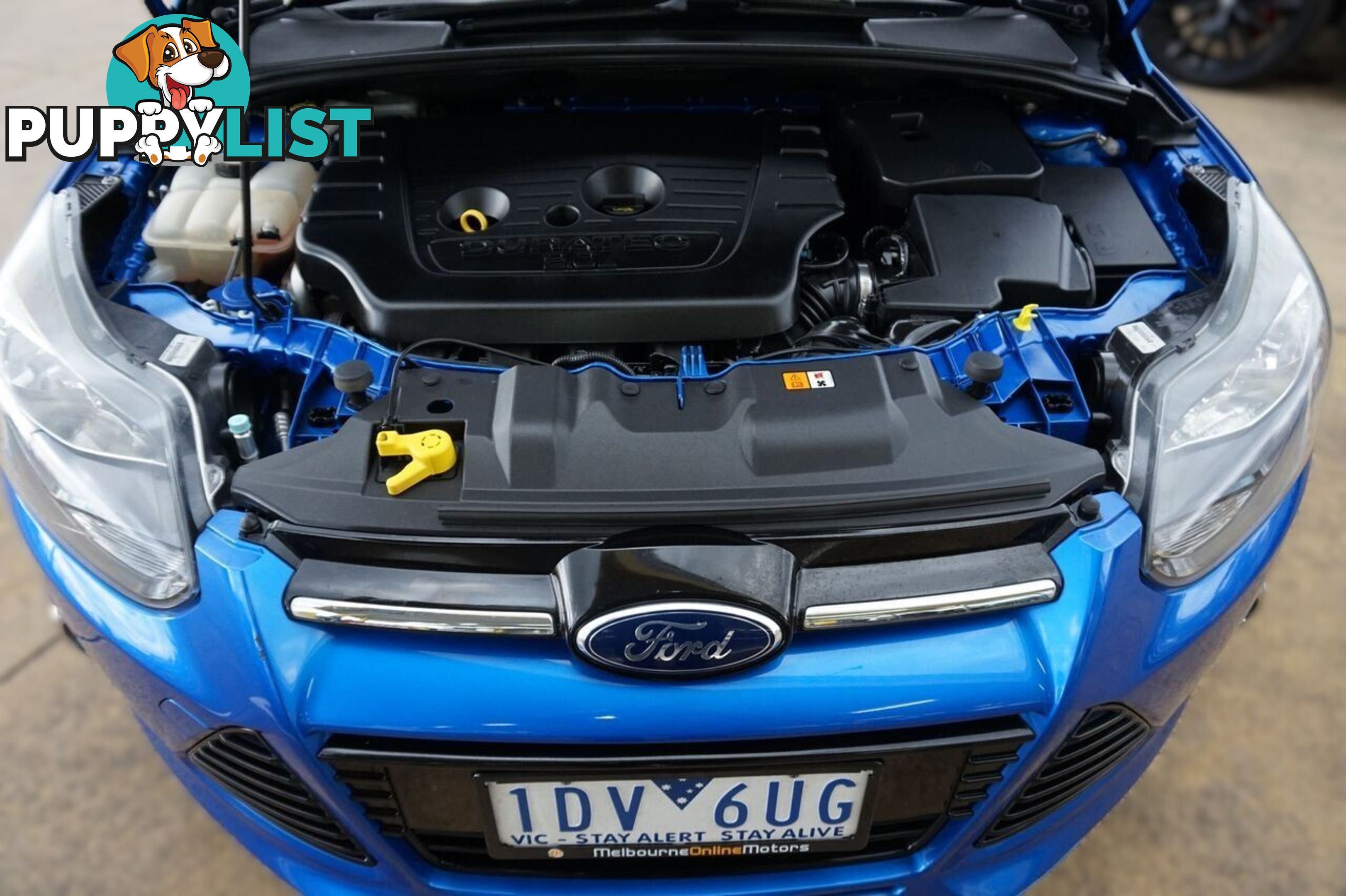 2014 FORD FOCUS   HATCHBACK