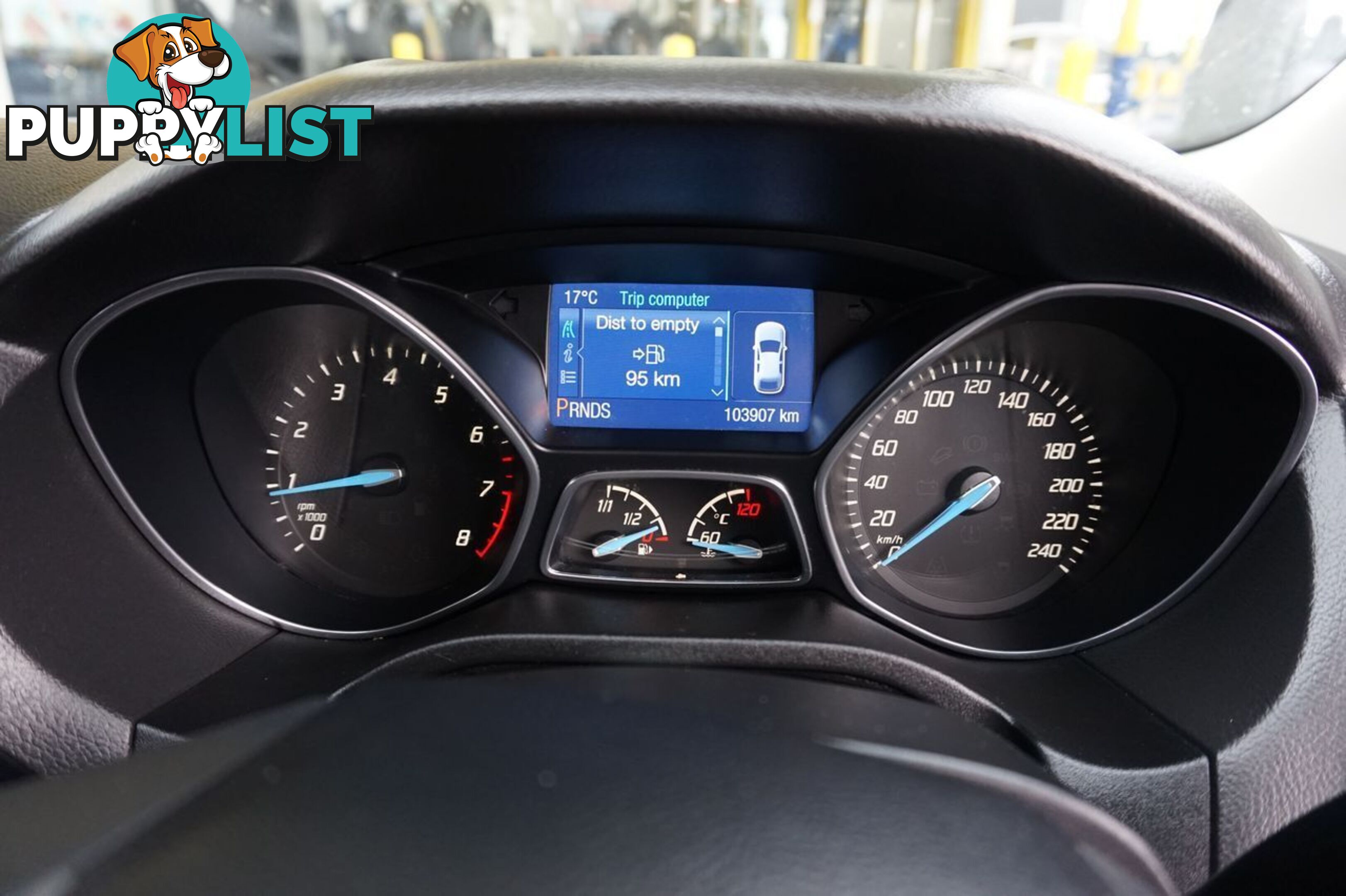 2014 FORD FOCUS   HATCHBACK