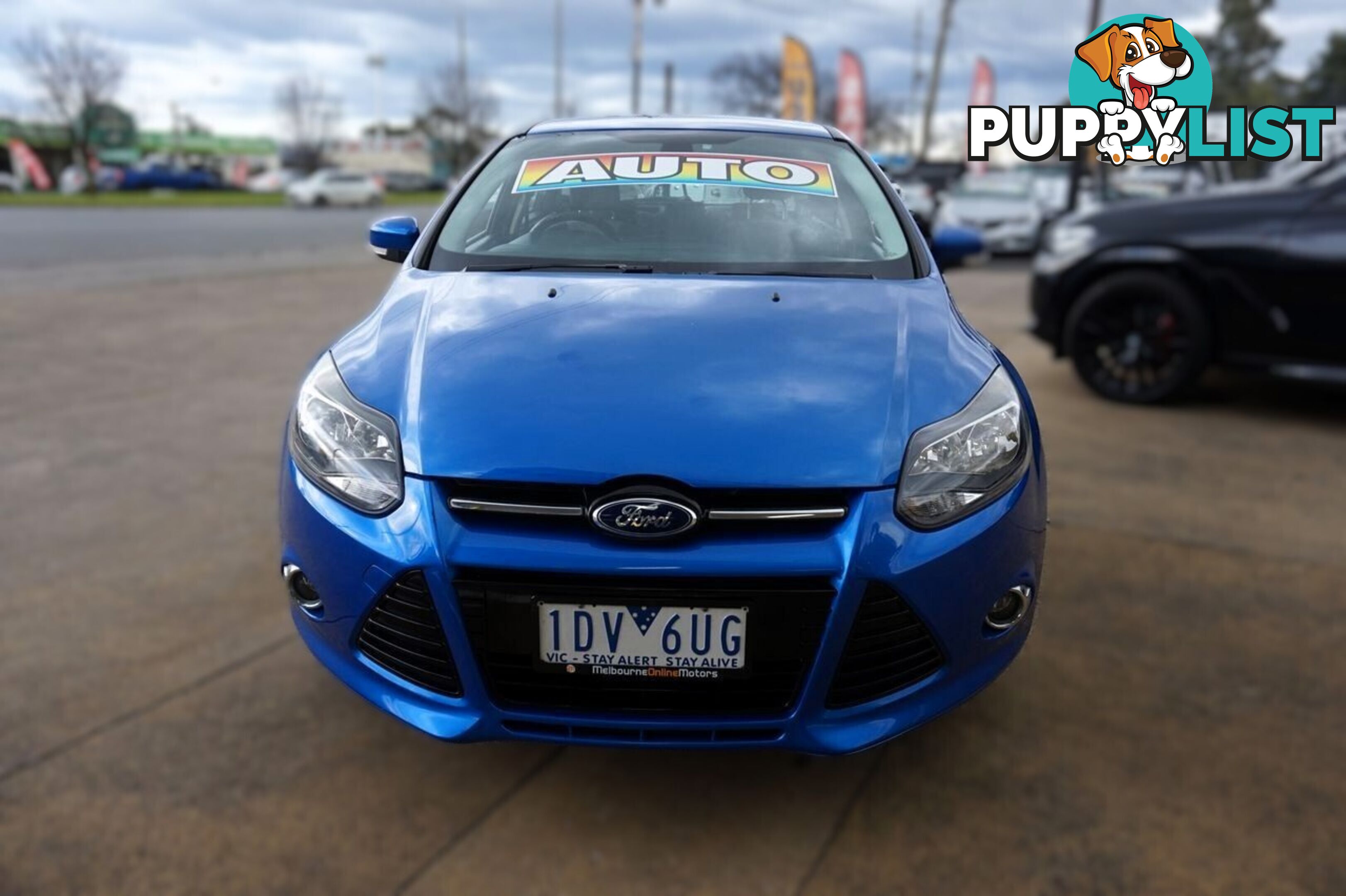 2014 FORD FOCUS   HATCHBACK