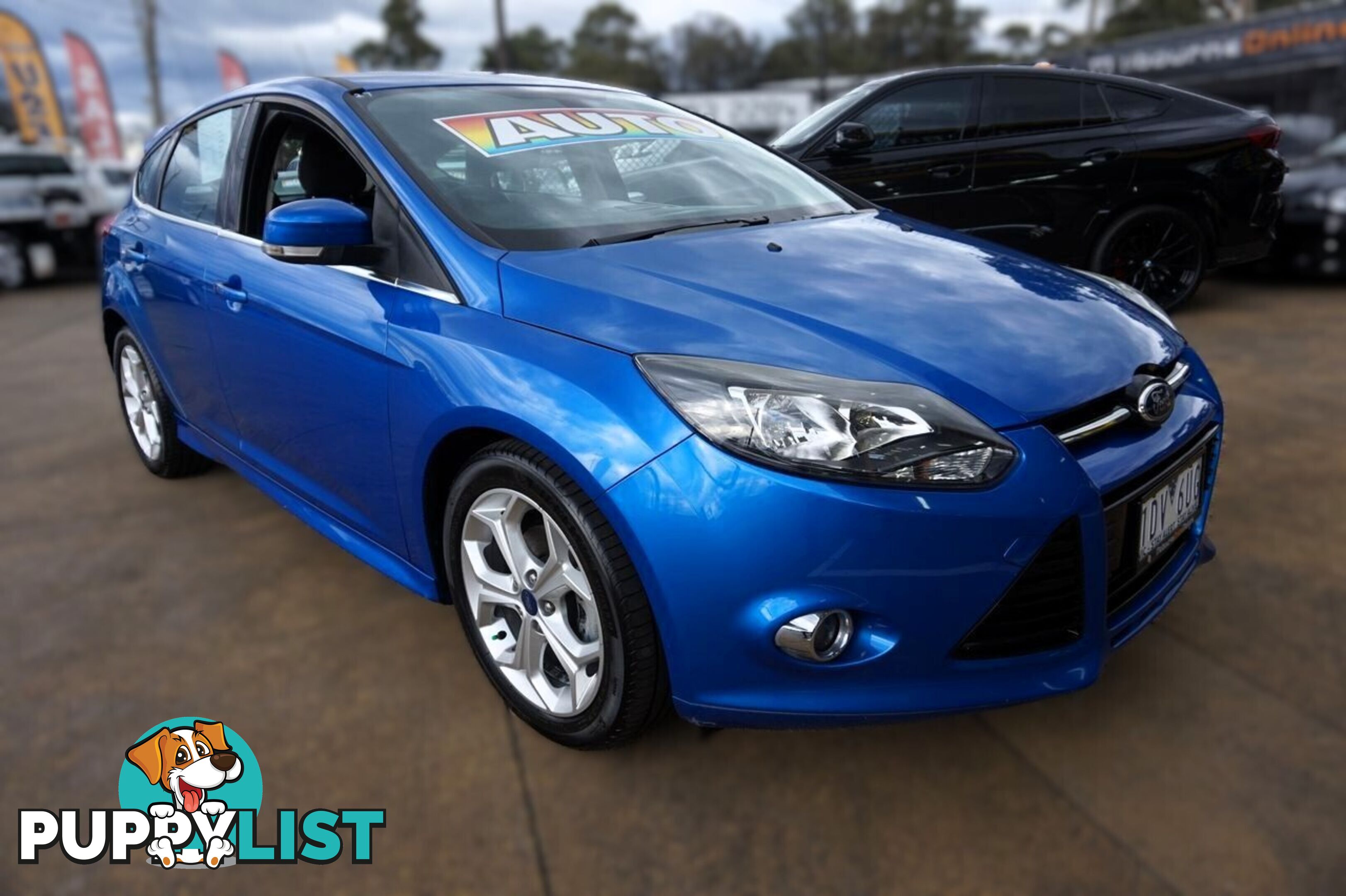 2014 FORD FOCUS   HATCHBACK