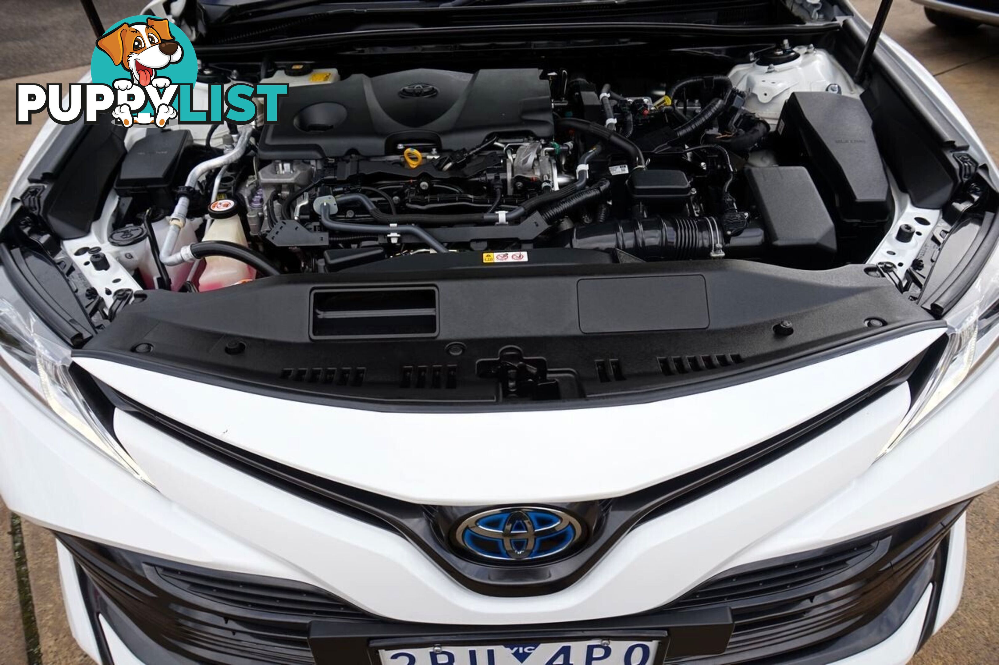 2018 TOYOTA CAMRY   SEDAN