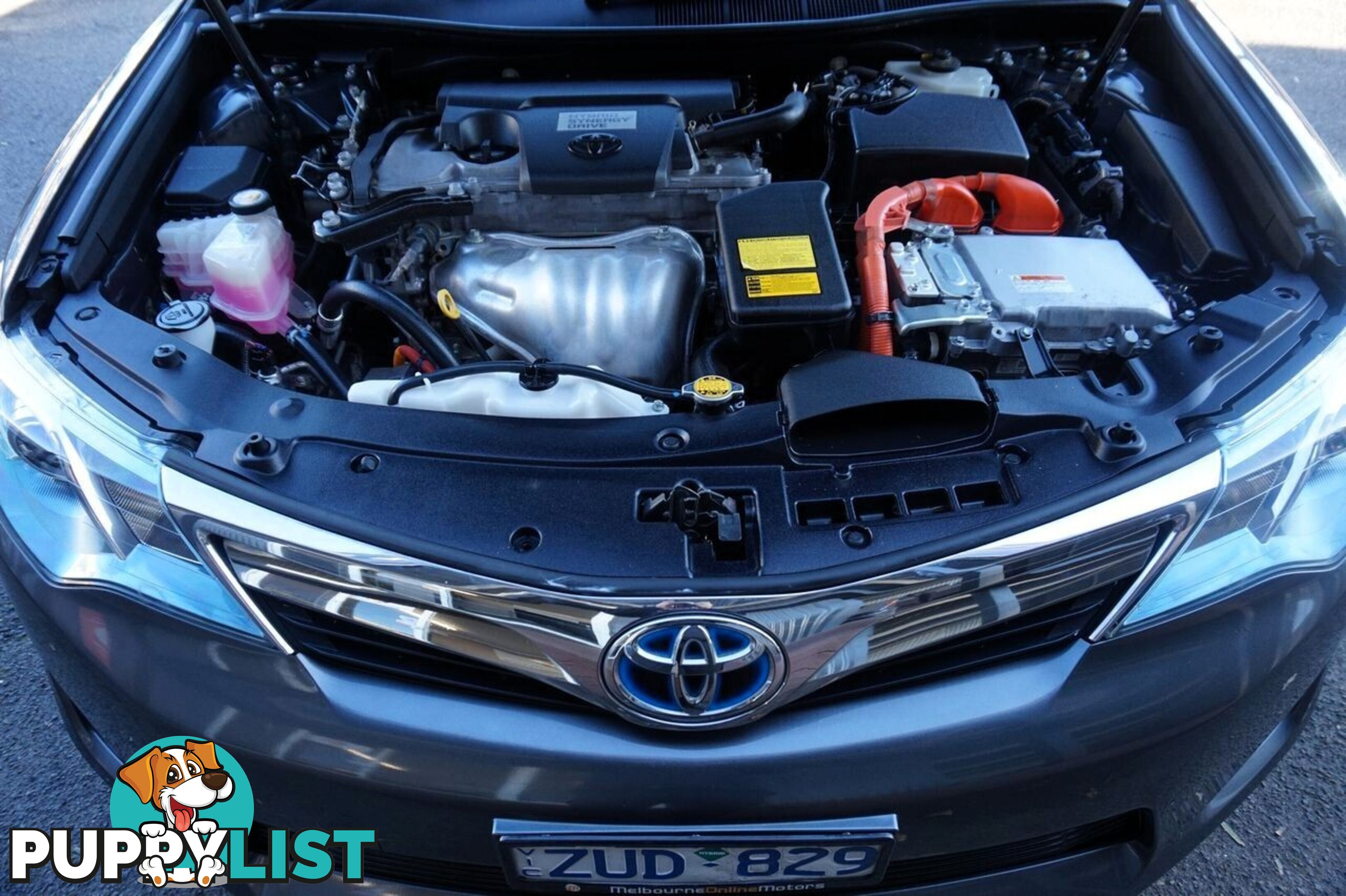 2013 TOYOTA CAMRY   SEDAN