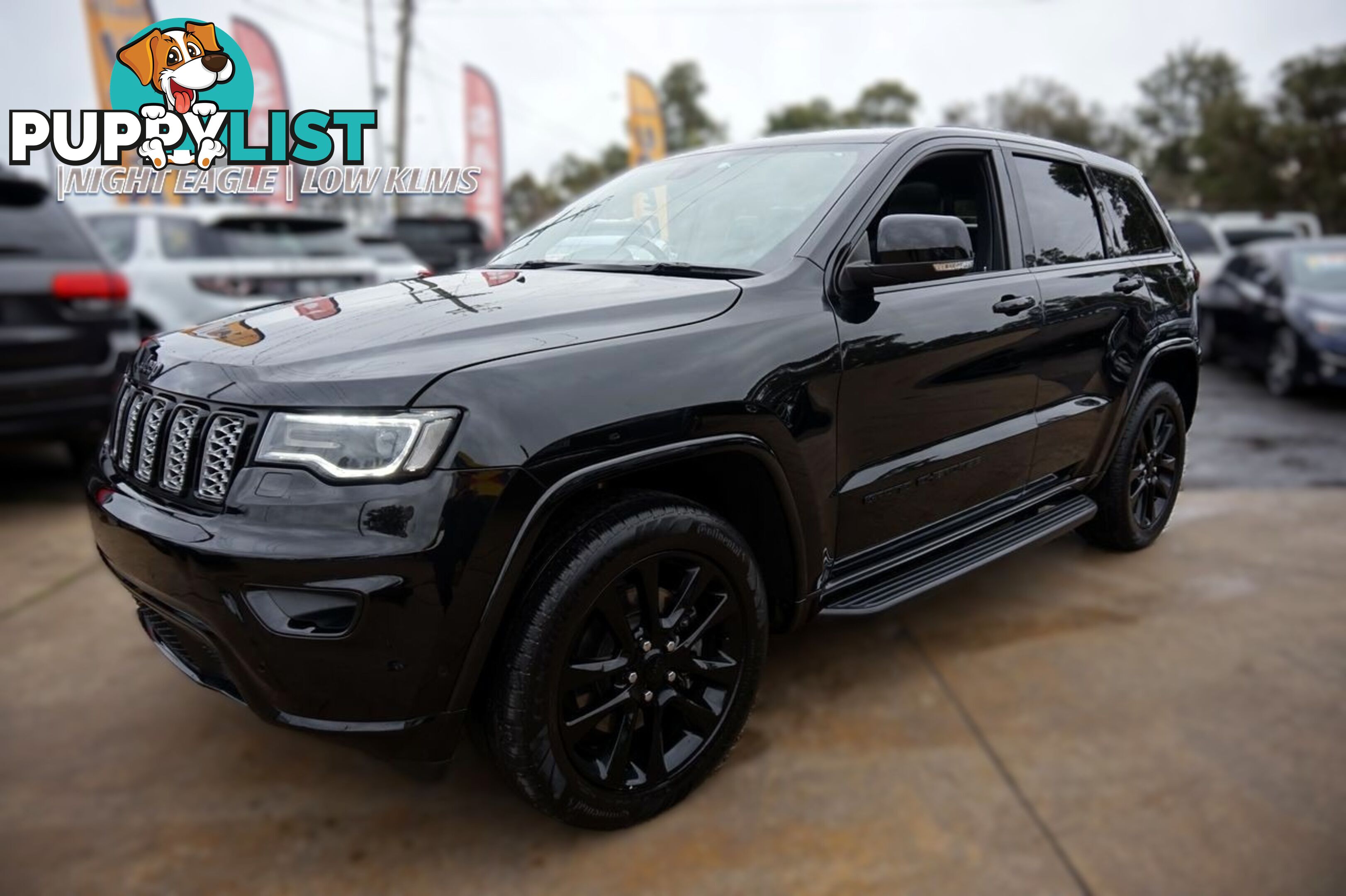 2019 JEEP GRAND   WAGON