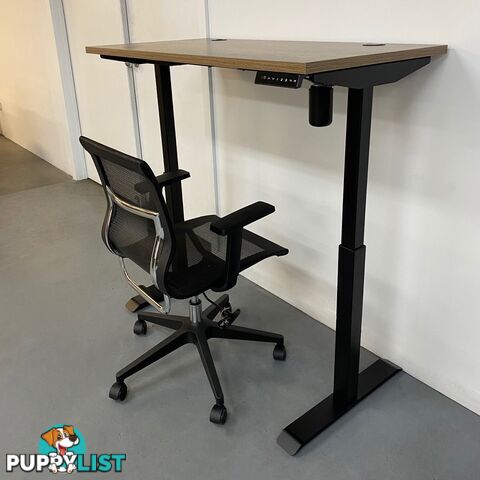 ALVIS Standing Desk with Lift 1.2M - Warm Oak & Black - WF-LD01 - 9334719011400