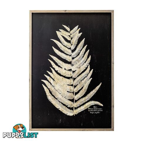 Fern Leaf in Nature Frame - B - A202063 - 9334719009926