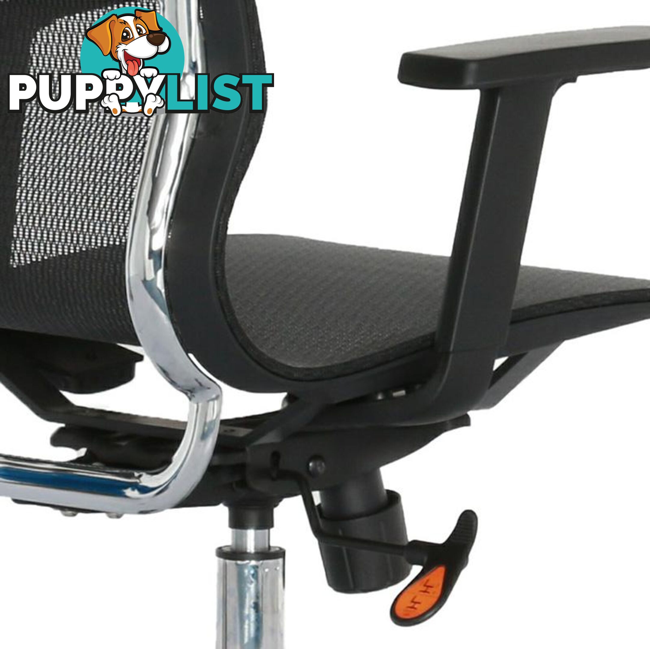 GUSTO Executive Office Chair - Black - WF-WS023 - 9334719010182