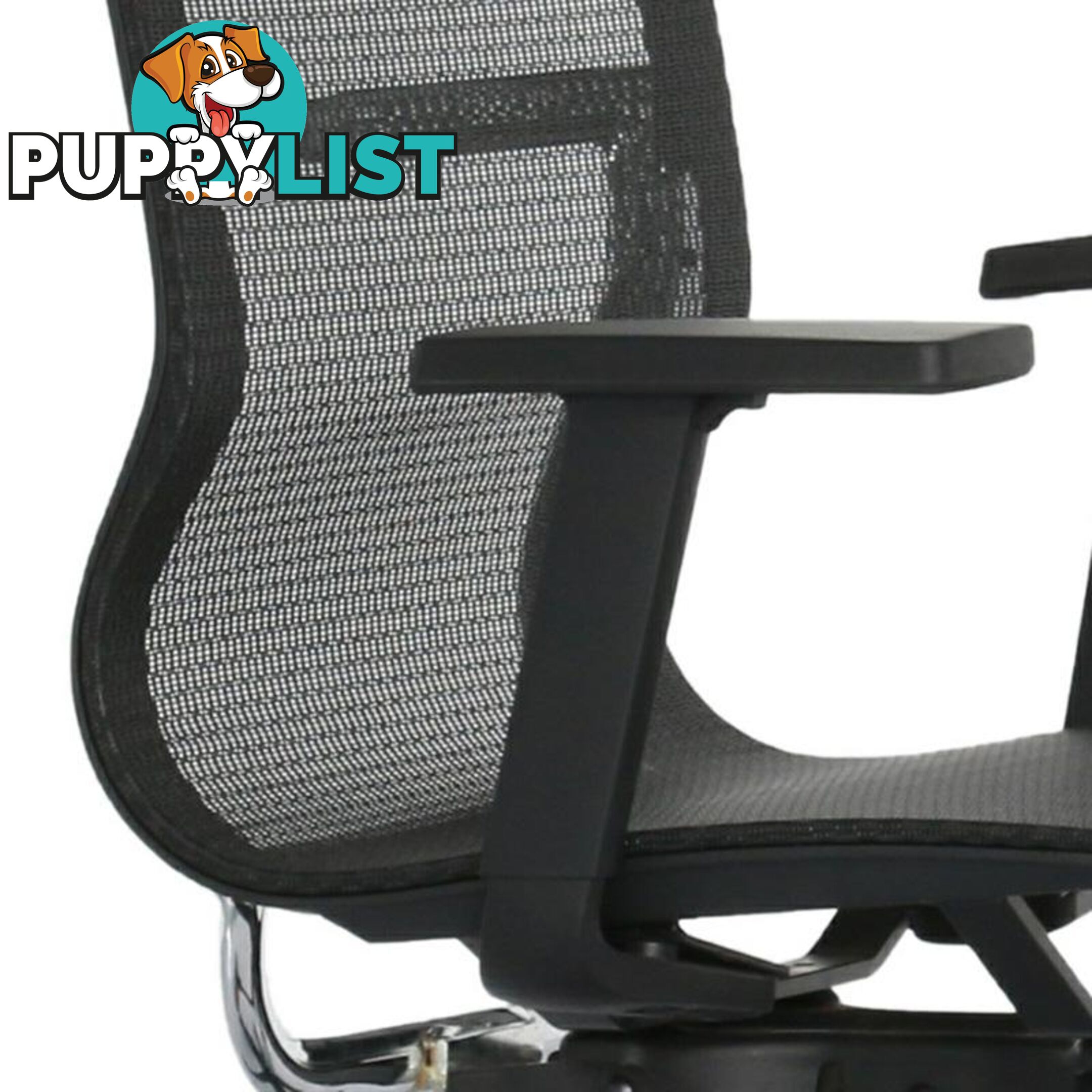 GUSTO Executive Office Chair - Black - WF-WS023 - 9334719010182