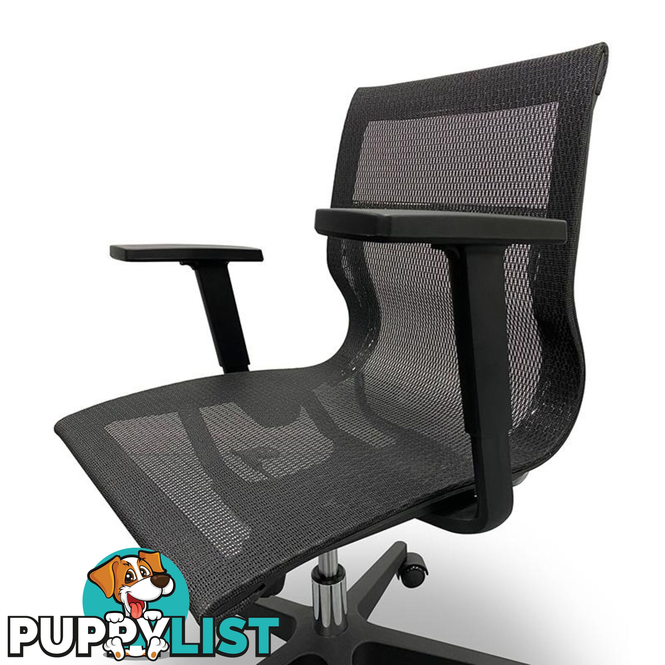 GUSTO Executive Office Chair - Black - WF-WS023 - 9334719010182