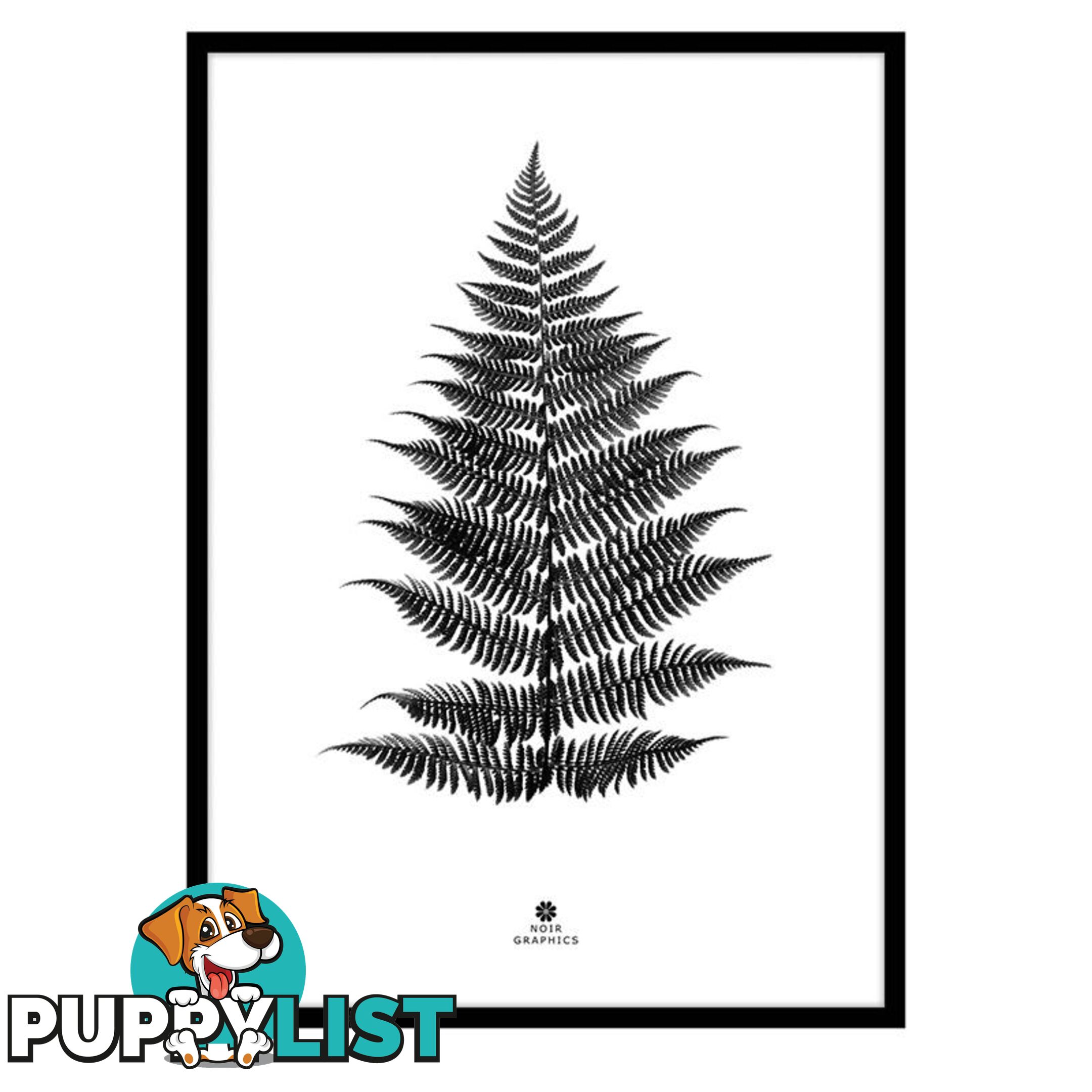 Large Fern Print in Black Frame - A202055 - 9334719009636