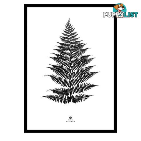 Large Fern Print in Black Frame - A202055 - 9334719009636