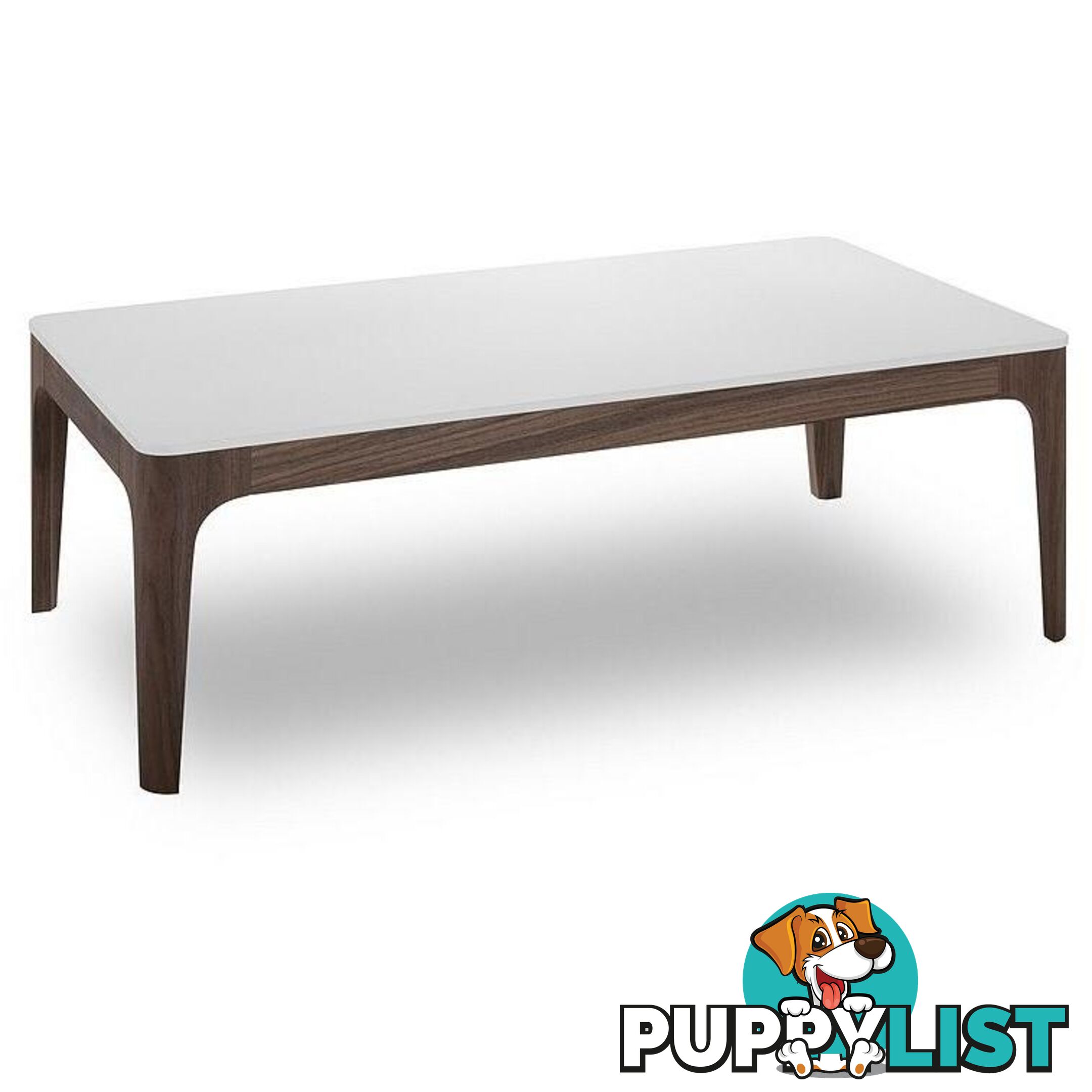 LEX Coffee Table - 120cm - White + Walnut - DI-J5619 - 9334719001760