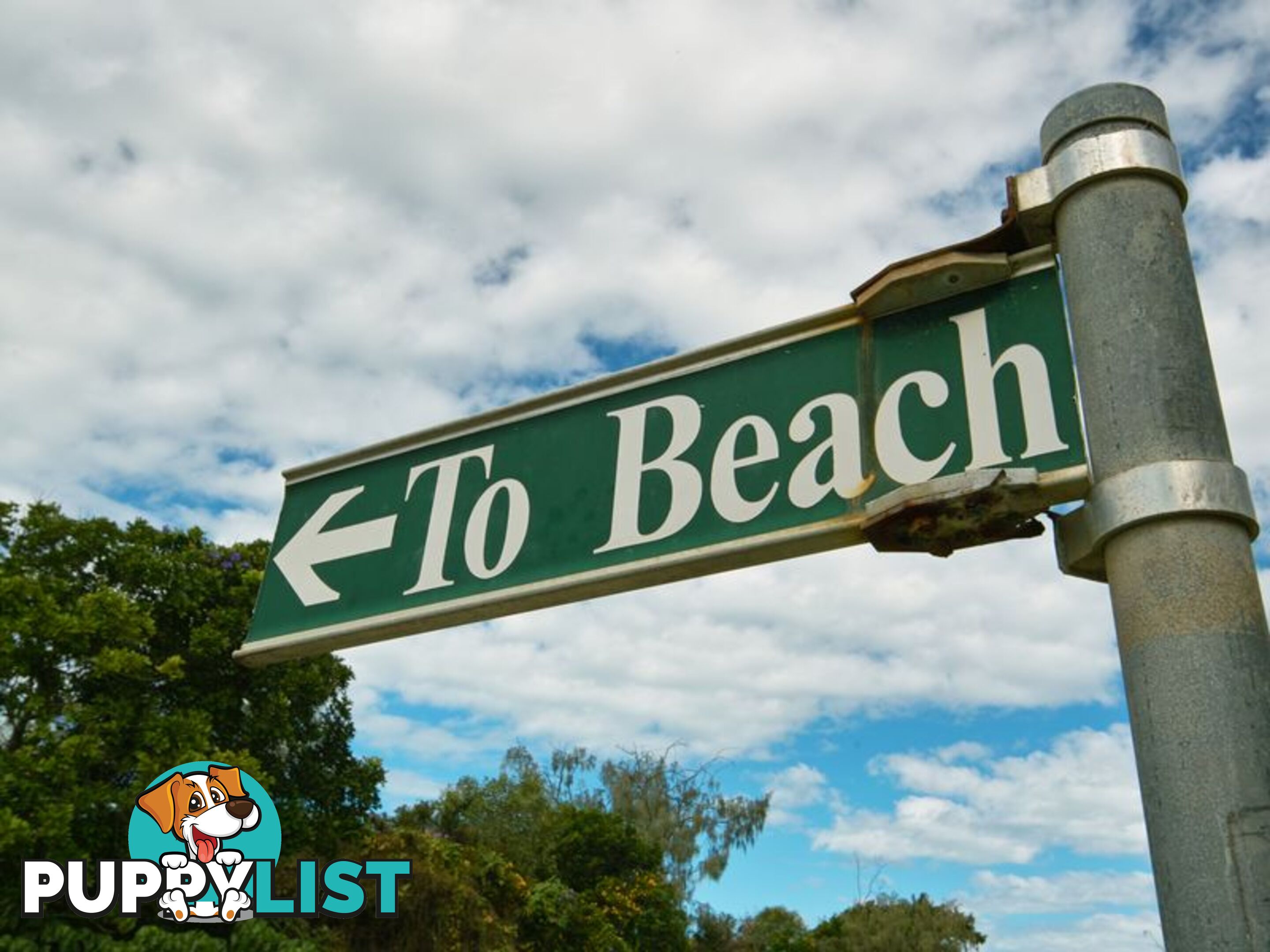 38a Peregian Esplanade PEREGIAN BEACH QLD 4573