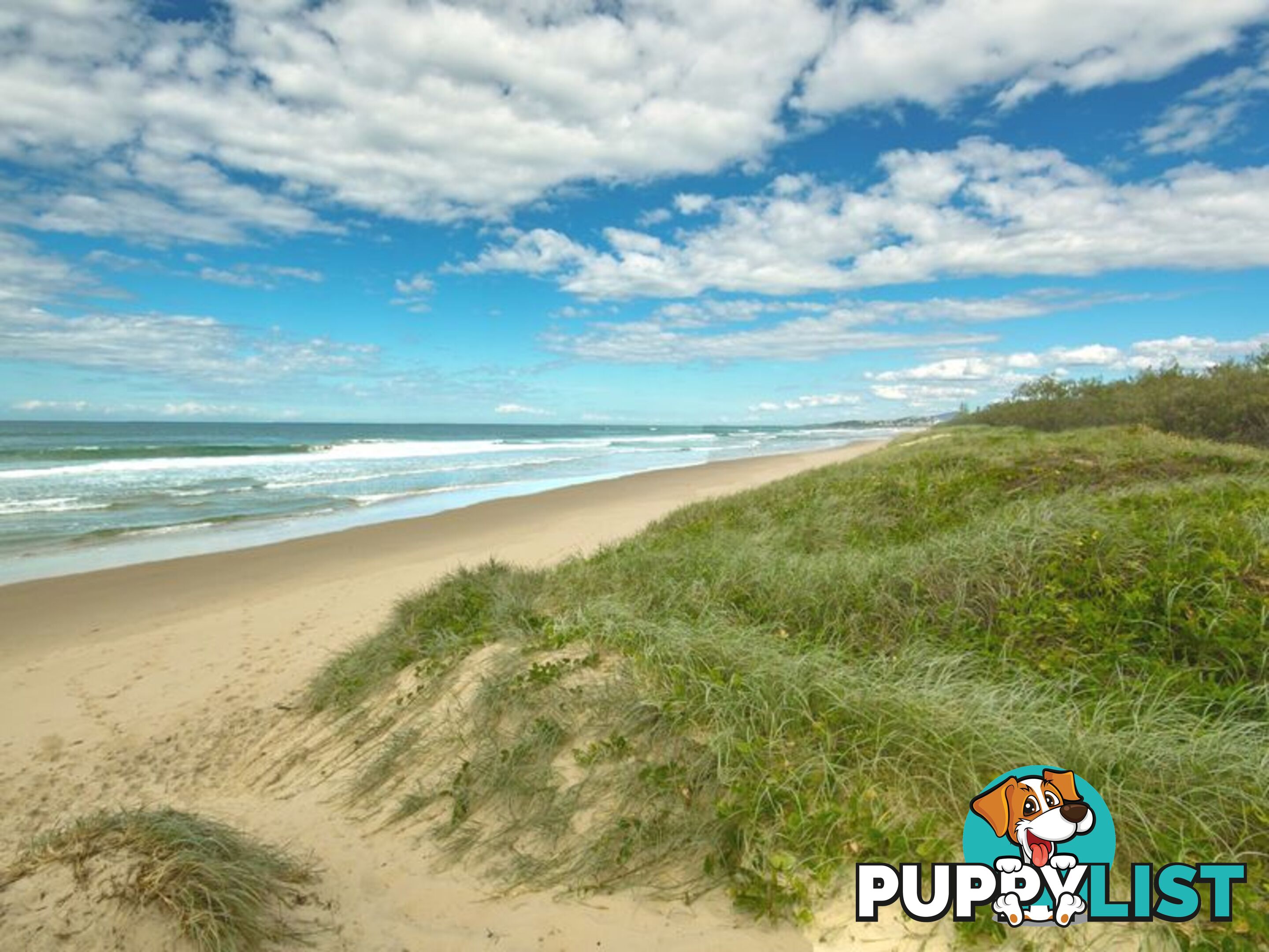 38a Peregian Esplanade PEREGIAN BEACH QLD 4573
