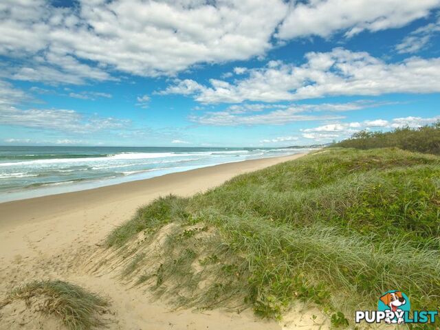 38a Peregian Esplanade PEREGIAN BEACH QLD 4573