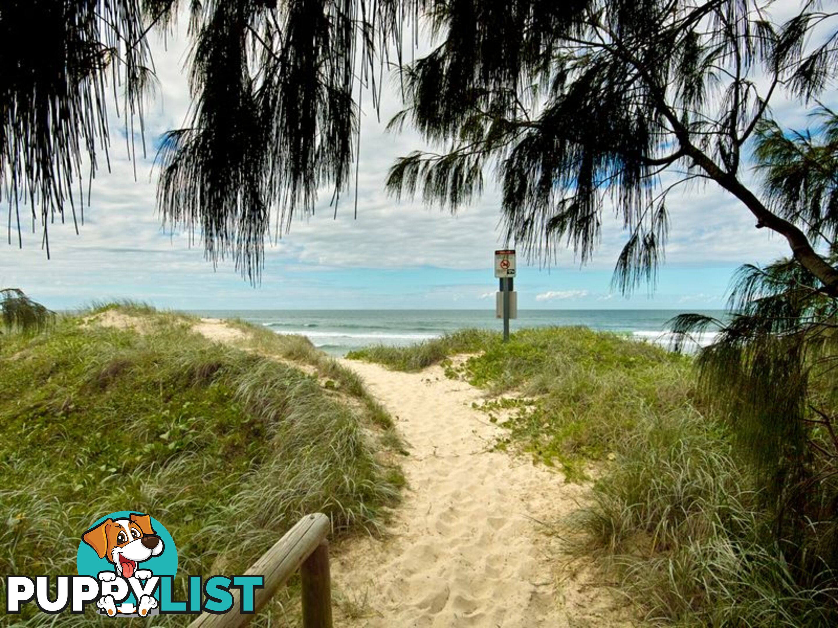 38a Peregian Esplanade PEREGIAN BEACH QLD 4573