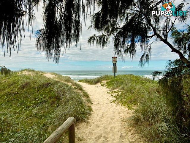 38a Peregian Esplanade PEREGIAN BEACH QLD 4573