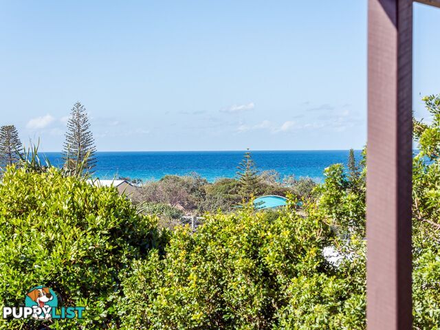 206 David Low Way PEREGIAN BEACH QLD 4573