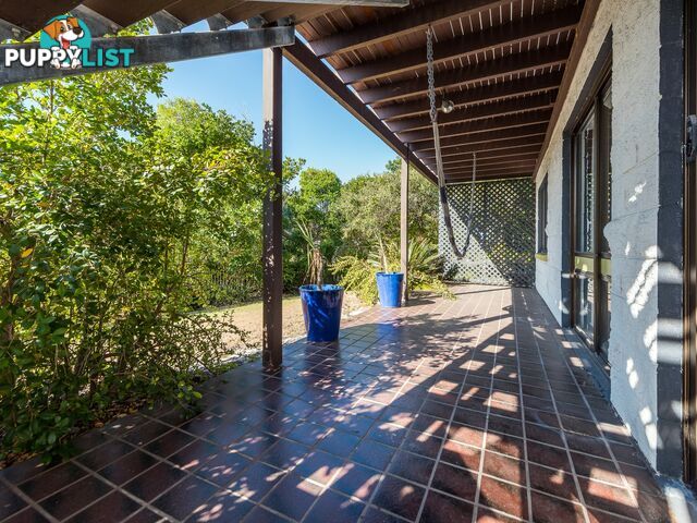 206 David Low Way PEREGIAN BEACH QLD 4573