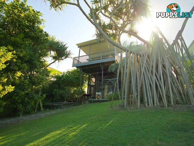 15 Pelican Street PEREGIAN BEACH QLD 4573