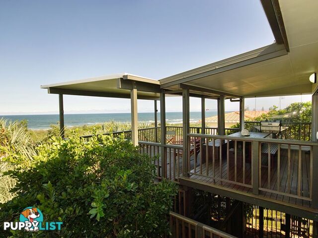 15 Pelican Street PEREGIAN BEACH QLD 4573