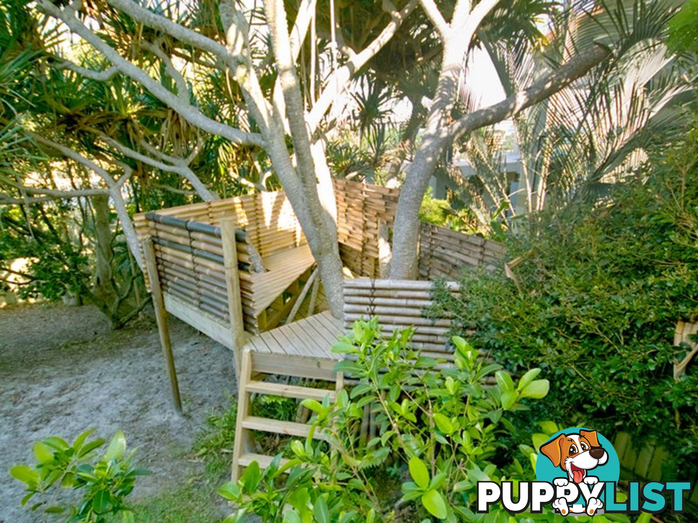 15 Pelican Street PEREGIAN BEACH QLD 4573