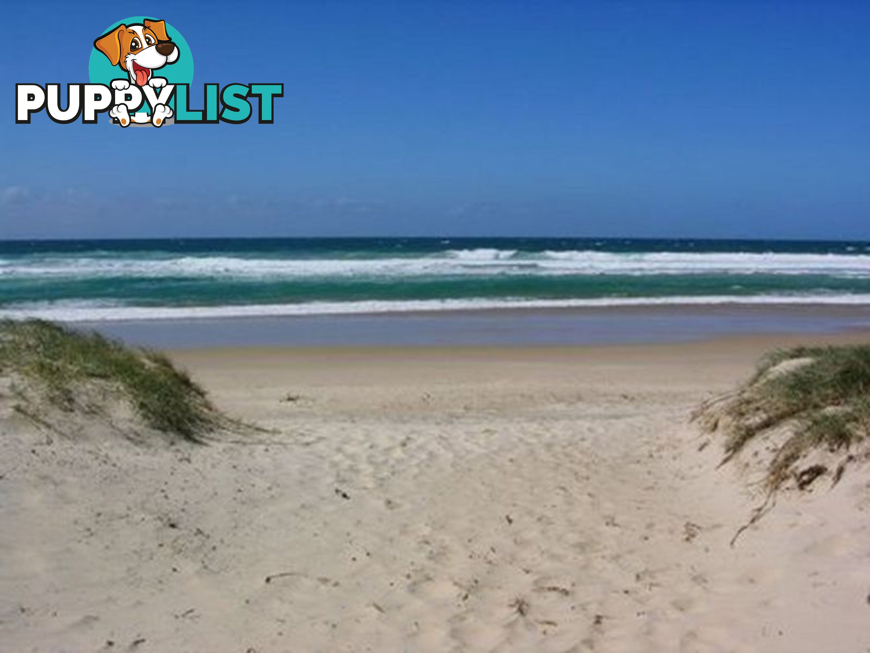 4 Callitris Crescent MARCUS BEACH QLD 4573