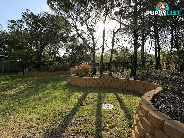 4 Callitris Crescent MARCUS BEACH QLD 4573