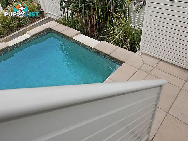 Apartment 1/20 Kingfisher Drive PEREGIAN BEACH QLD 4573