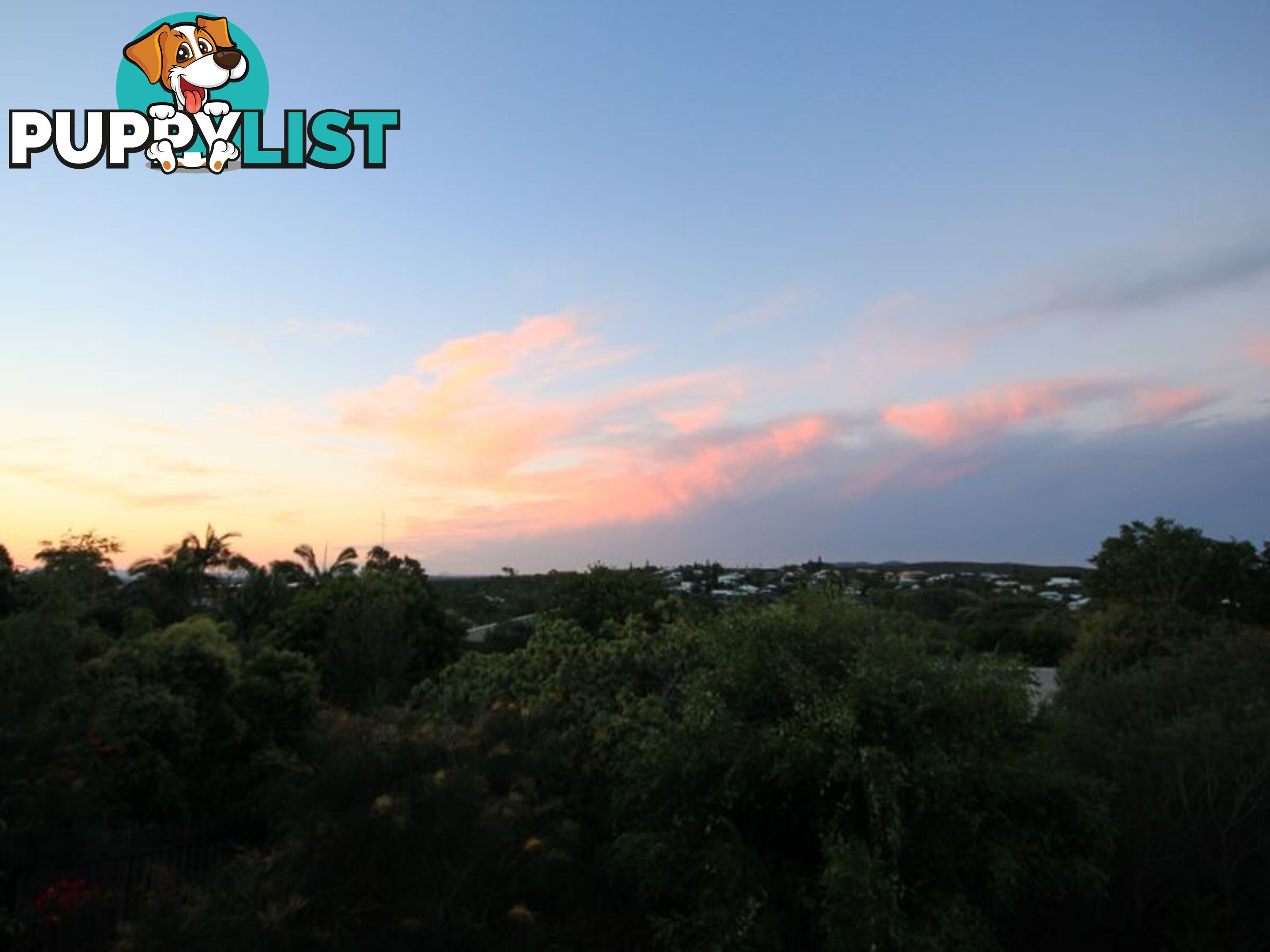 37 Gouldian Court PEREGIAN BEACH QLD 4573