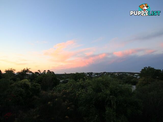 37 Gouldian Court PEREGIAN BEACH QLD 4573