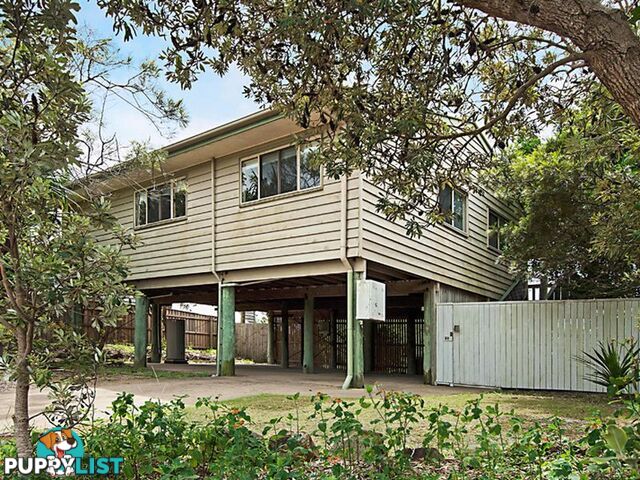 37 Gouldian Court PEREGIAN BEACH QLD 4573