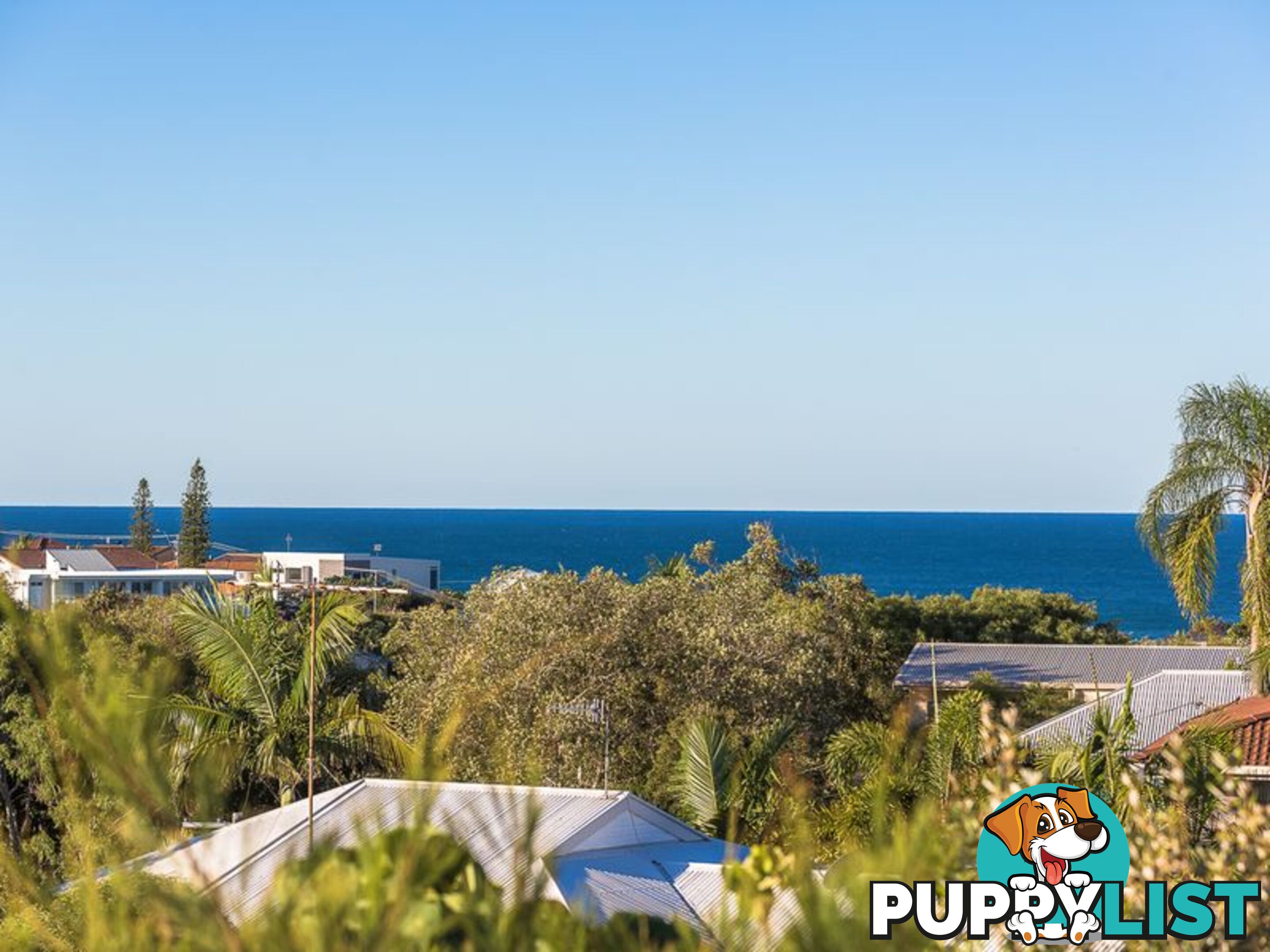 37 Gouldian Court PEREGIAN BEACH QLD 4573