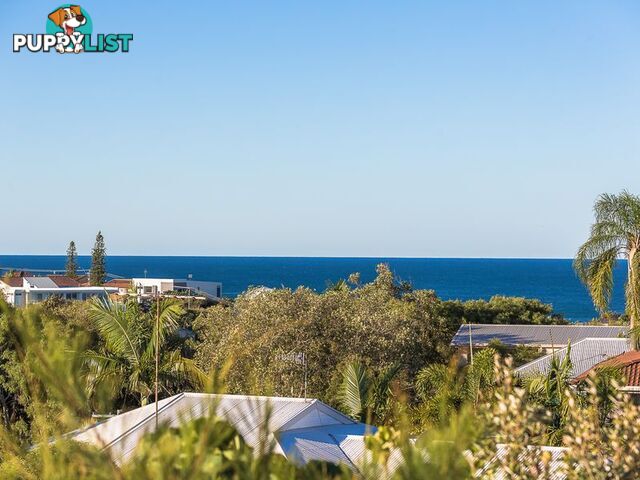 37 Gouldian Court PEREGIAN BEACH QLD 4573