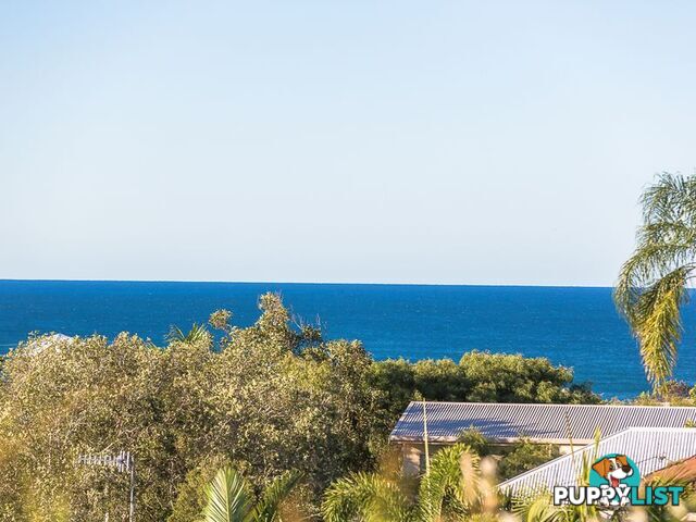 37 Gouldian Court PEREGIAN BEACH QLD 4573