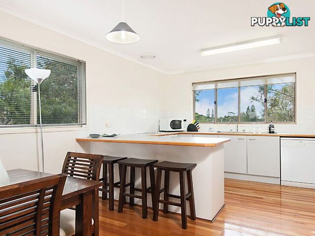 37 Gouldian Court PEREGIAN BEACH QLD 4573