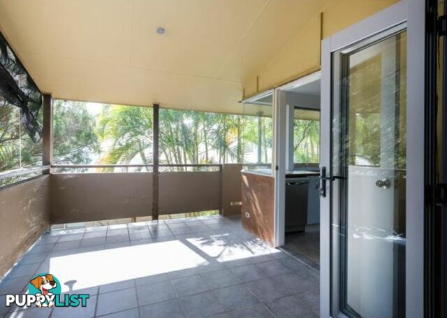 51 Kestrel Crescent PEREGIAN BEACH QLD 4573