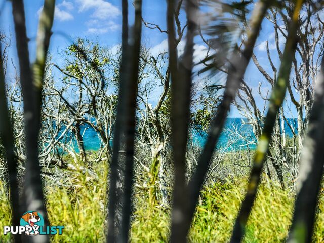 1/44 Peregian Esplanade PEREGIAN BEACH QLD 4573