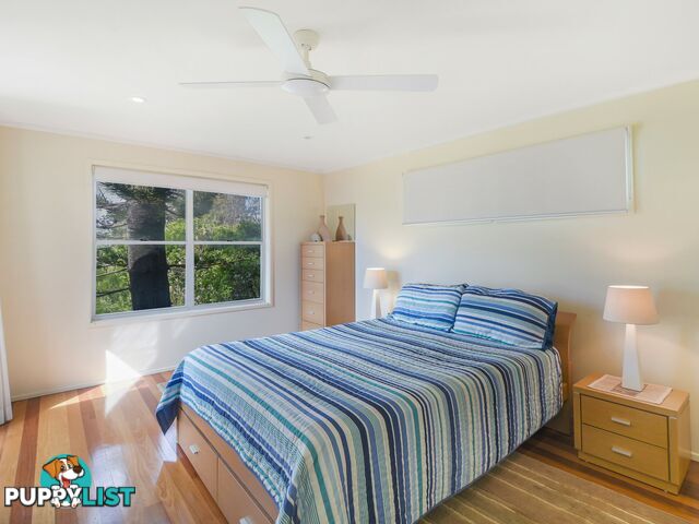 24 Shearwater Street PEREGIAN BEACH QLD 4573