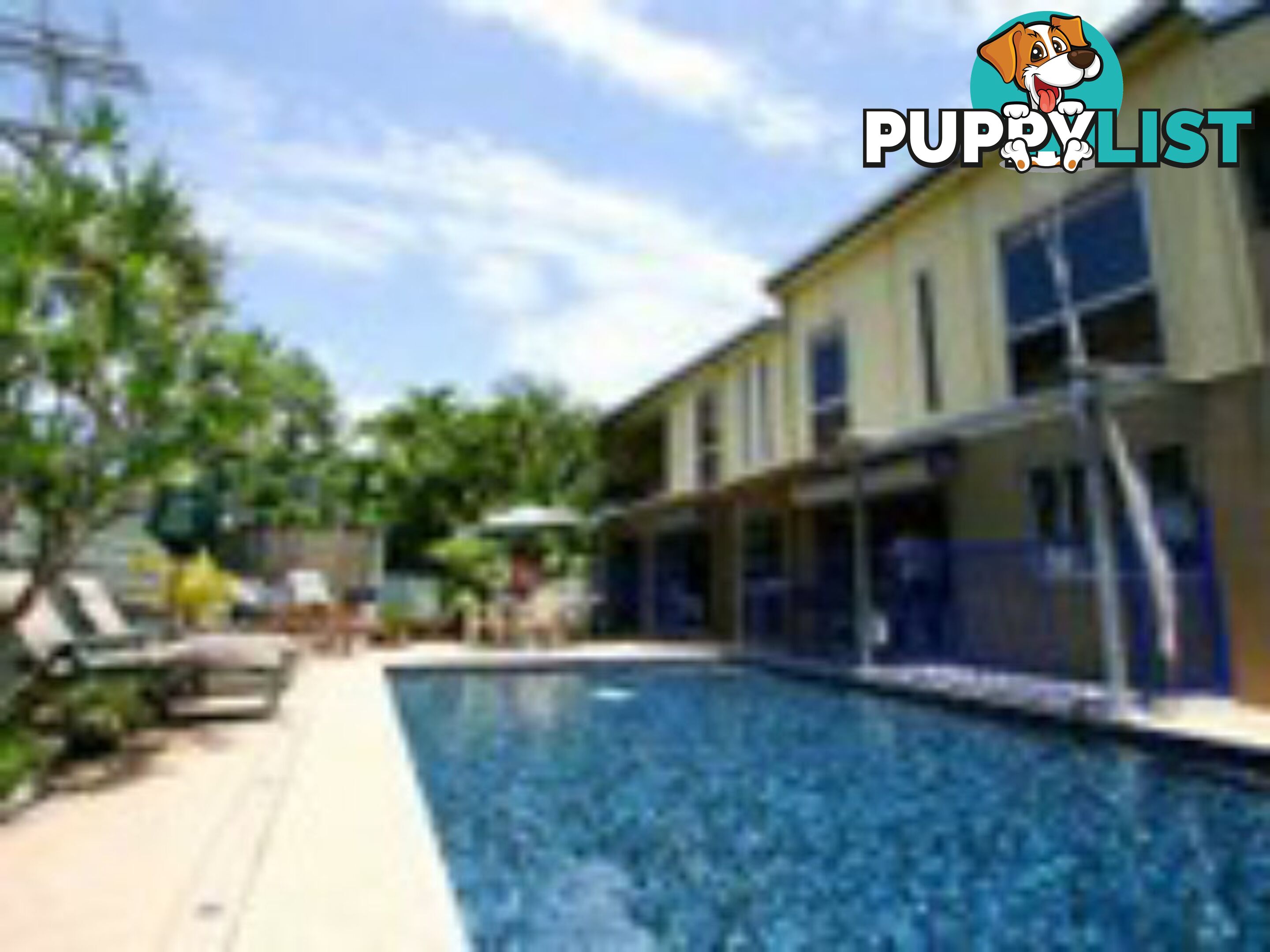 51 Kestrel Cres PEREGIAN BEACH QLD 4573