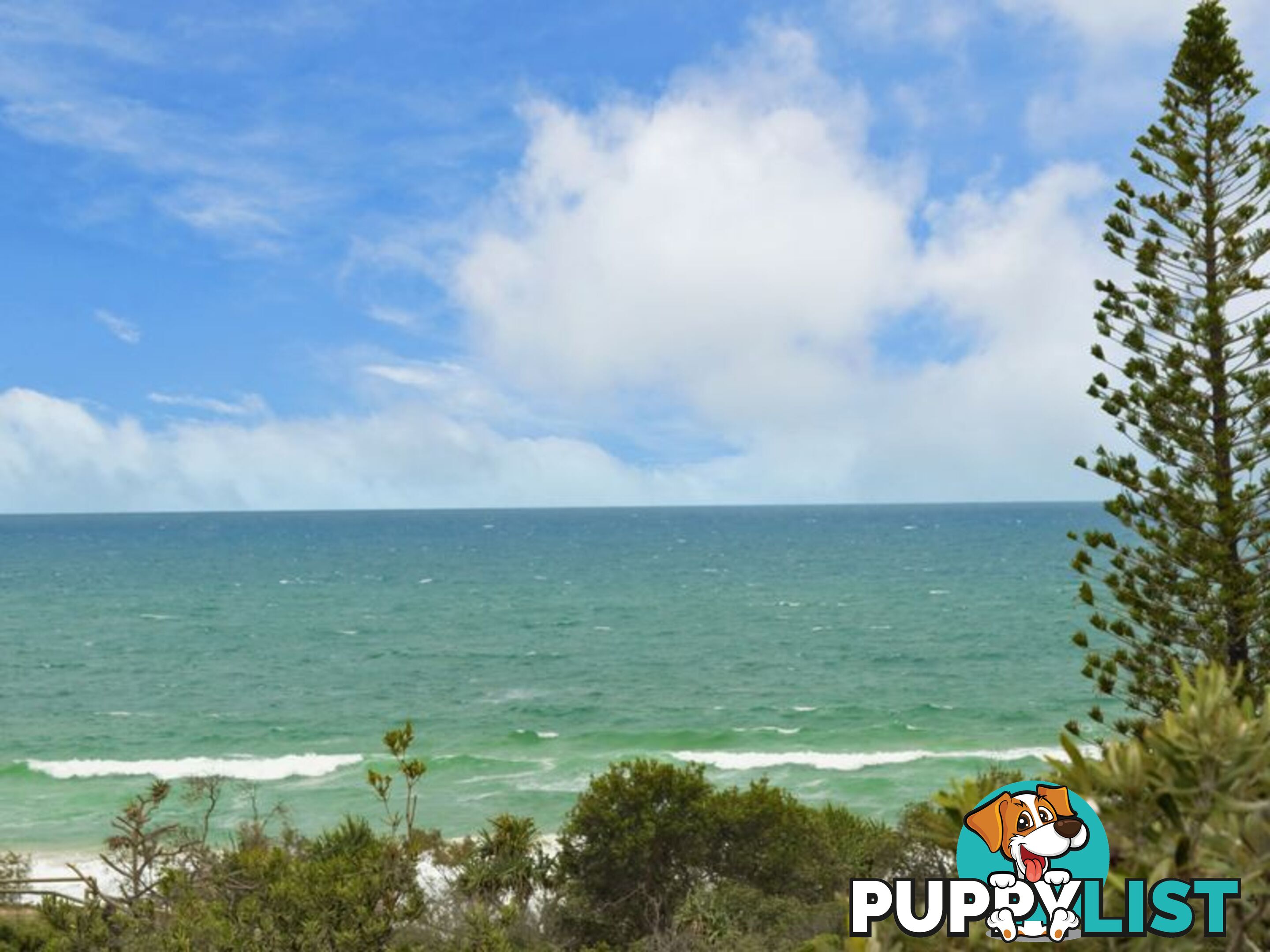 2/26 Jacana Street PEREGIAN BEACH QLD 4573