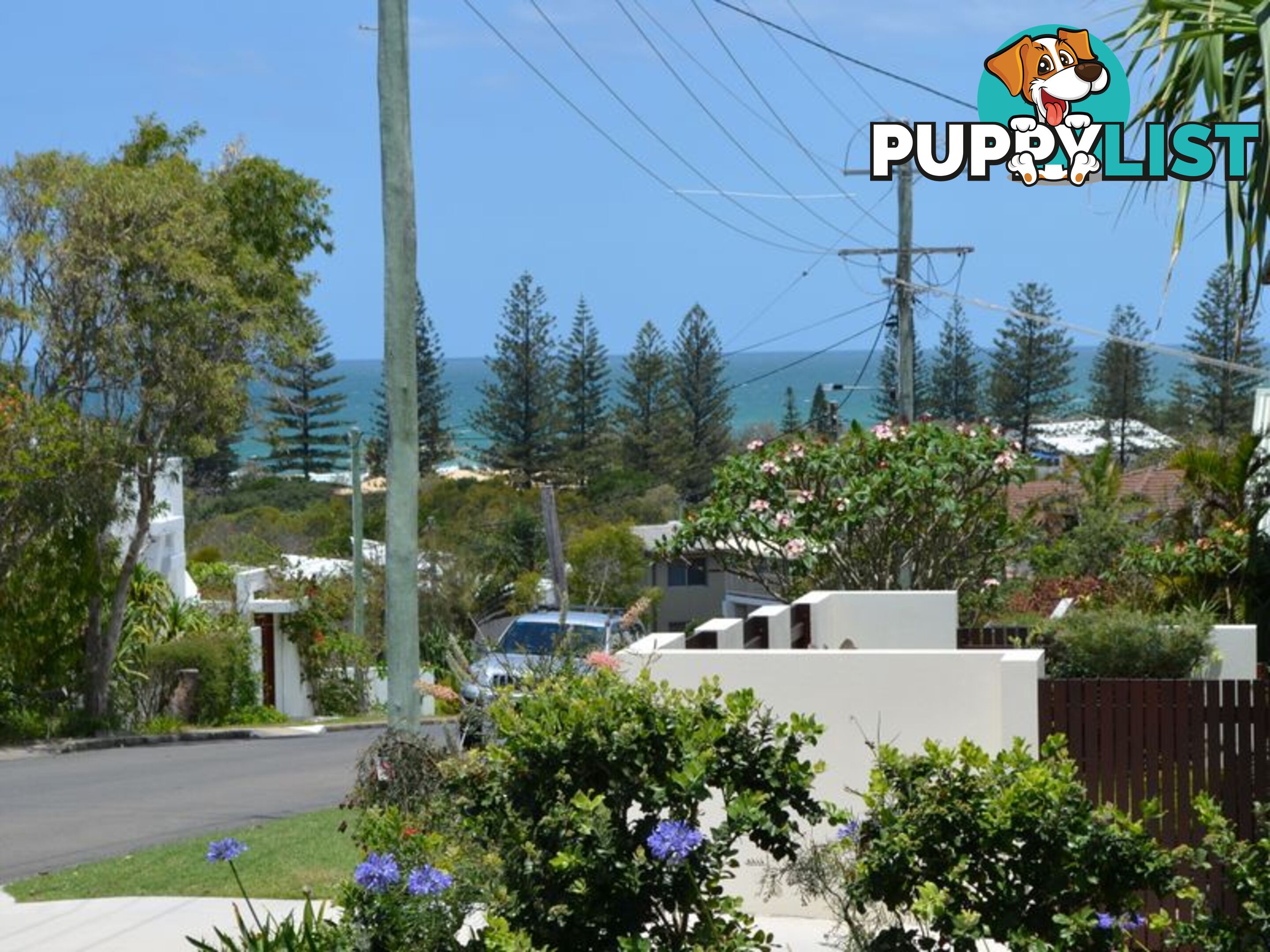 20 Pelican Street PEREGIAN BEACH QLD 4573