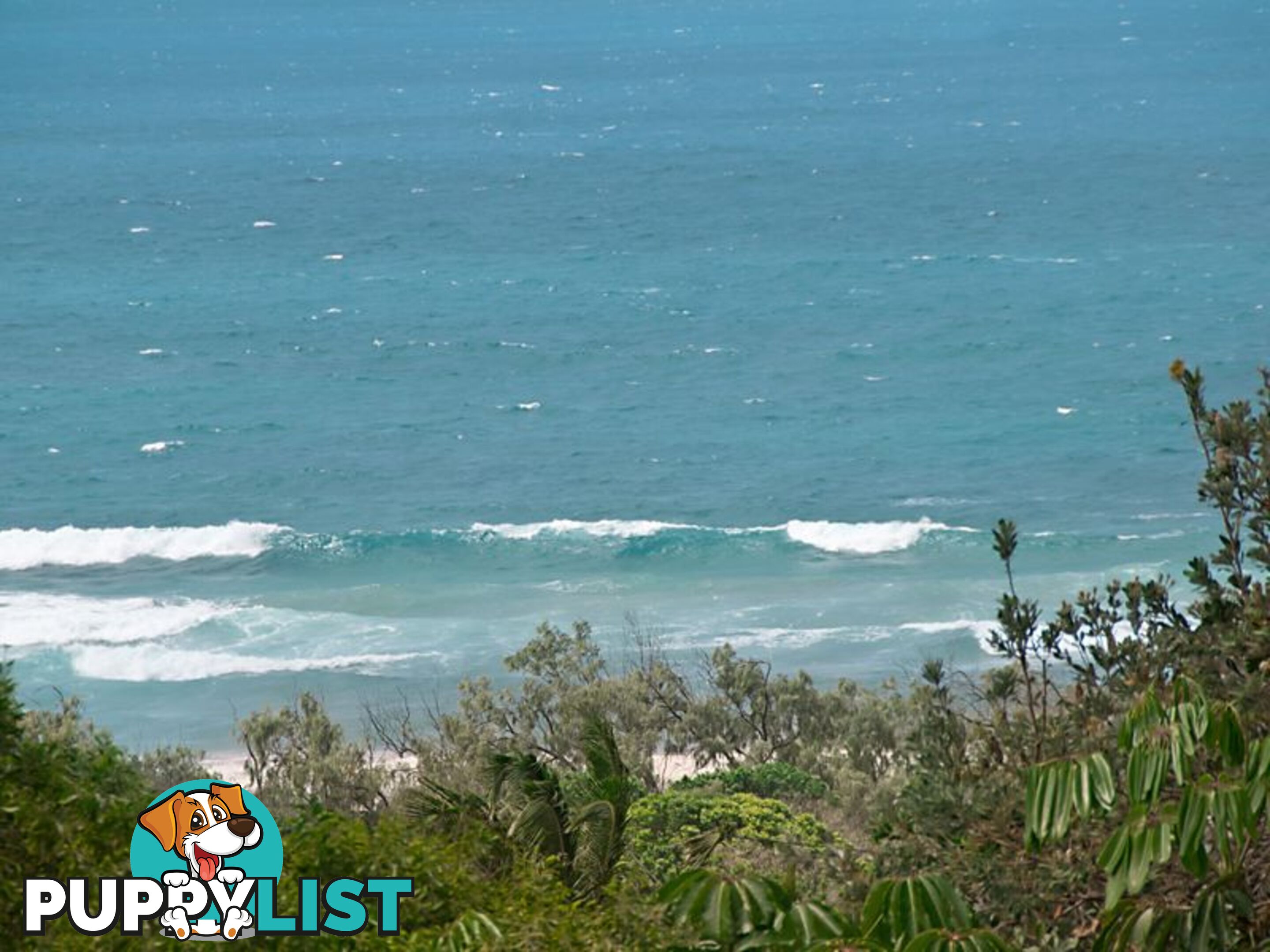 1 Podargus Parade PEREGIAN BEACH QLD 4573