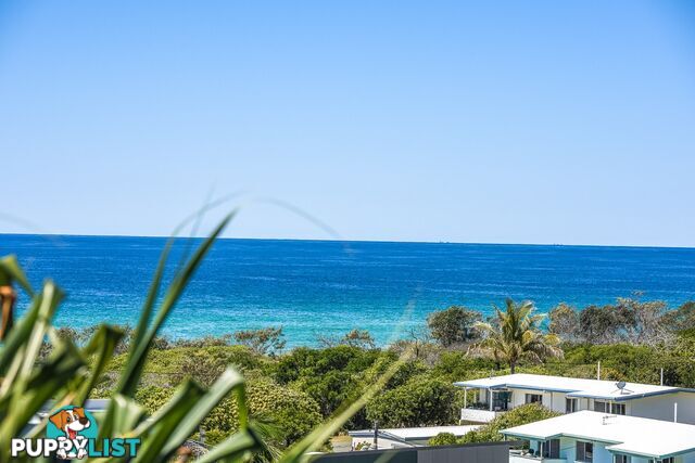 2/10 Martin Street PEREGIAN BEACH QLD 4573