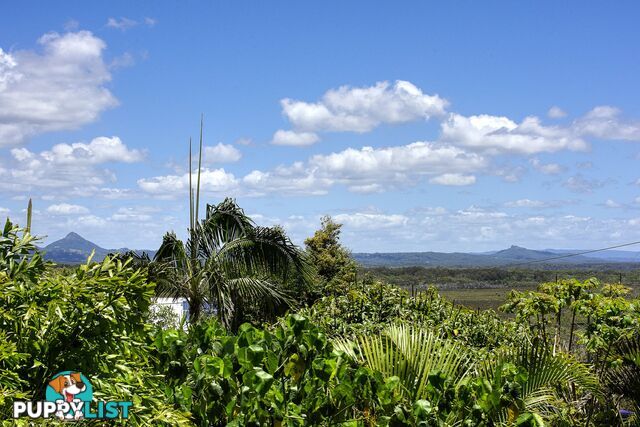 3/1 Currawong Crescent PEREGIAN BEACH QLD 4573