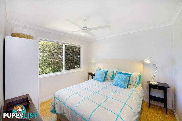3/1 Currawong Crescent PEREGIAN BEACH QLD 4573
