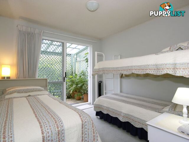 3/60 Peregian Esplanade PEREGIAN BEACH QLD 4573