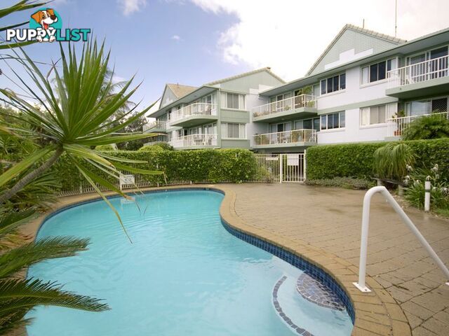 3/60 Peregian Esplanade PEREGIAN BEACH QLD 4573