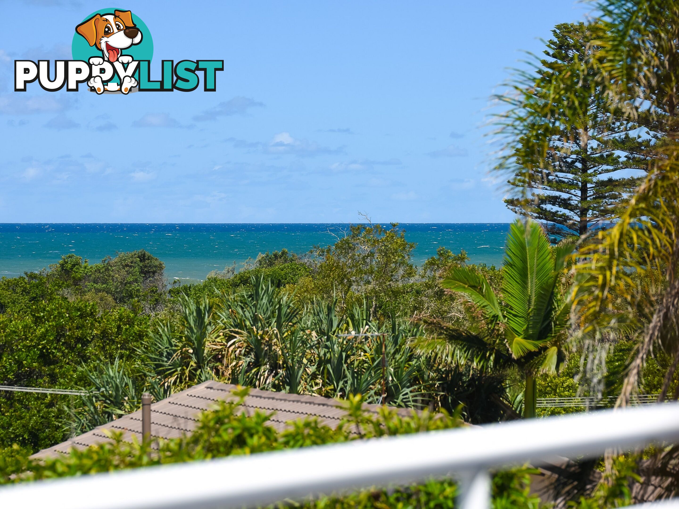 2/4 Brolga Place PEREGIAN BEACH QLD 4573