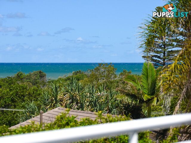 2/4 Brolga Place PEREGIAN BEACH QLD 4573